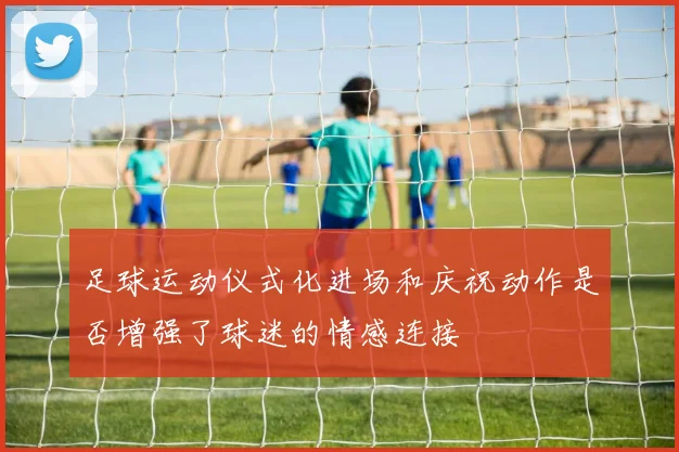 足球运动仪式化进场和庆祝动作是否增强了球迷的情感连接