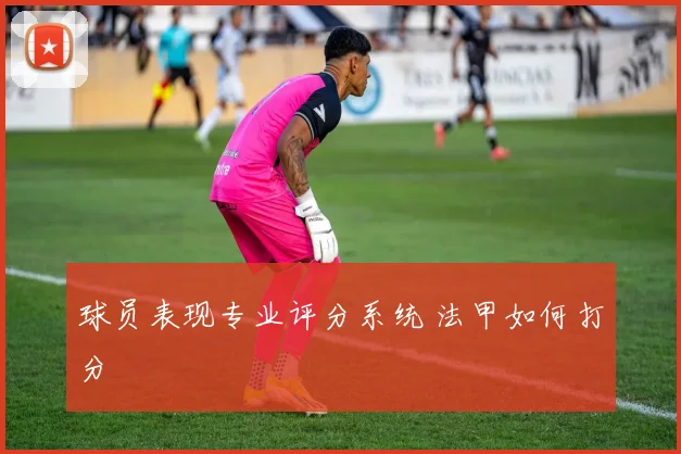 球员表现专业评分系统 法甲如何打分