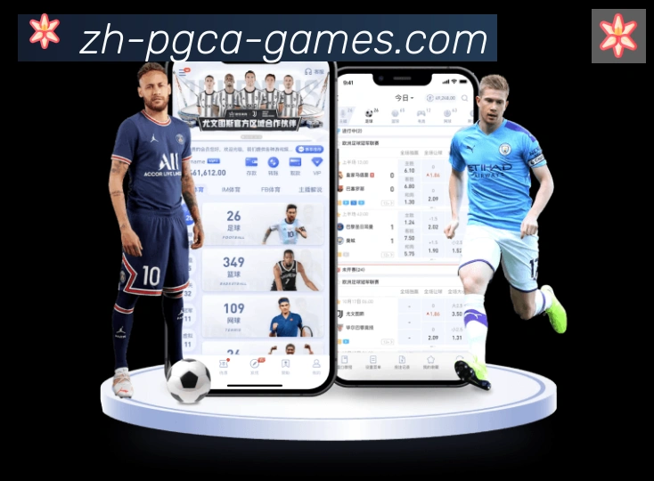 App Interface Preview